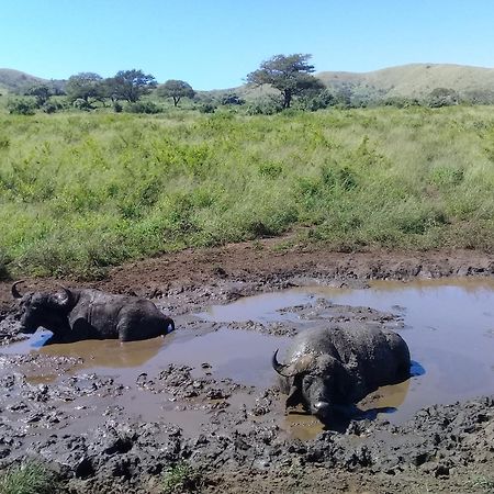Hluhluwe Gate Safari Camp Hotel Luaran gambar