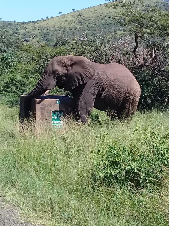 Hluhluwe Gate Safari Camp Hotel Luaran gambar